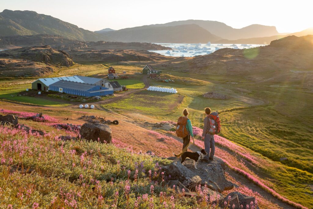 An_overview_of_Tasiusaq_sheep_farm_and_Sermilik_Hostel_in_South_Greenland_-_by_Mads_Pihl-min